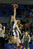 1A Girls State Finals-Nemo Vista vs. Wonderview 3-14-2014 (© Justin Manning) JWM_0007