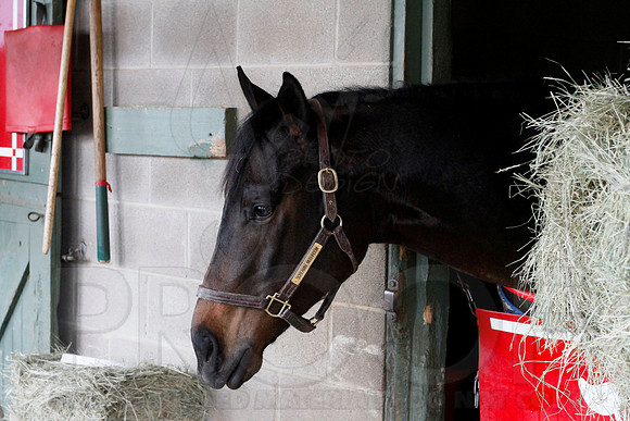 Oaklawn 1-13-13 (Justin Manning)0013