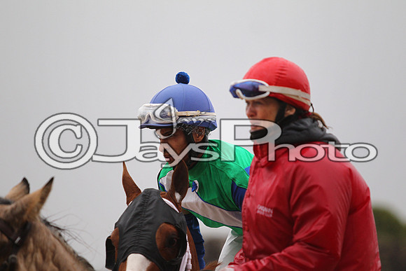 Oaklawn (Rebel Stakes Day) 3-14-2015 (©Justin Manning) JWM_293