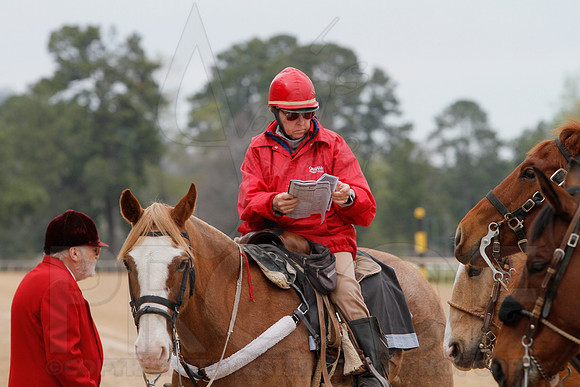 Fantasy Stakes 4-5-2014 (© Justin Manning) JWM_0287