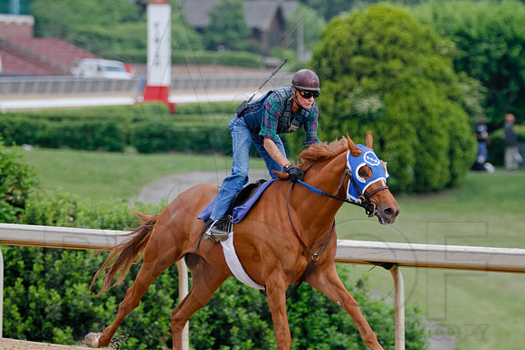 Morning Workouts (Arkansas Derby)9