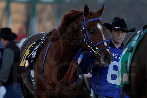 Smarty Jones Stakes 01-20-14 (©Justin Manning) JWM_0279