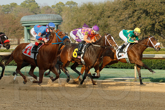 Honeybee Stakes (Grade III) 3-8-2014 (© Justin Manning) JWM_0262