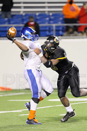 IMG_0202-2