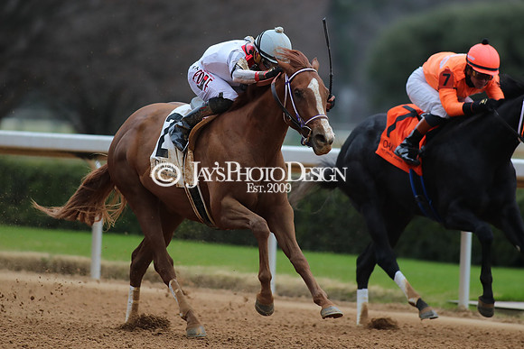 z250104_MockingbirdStakes _JWM_0595