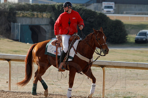 Oaklawn Park (Scenery) 1-26-14 (©Justin Manning) JWM_0229
