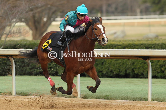 z190125_SmartyJonesStakesDay_Manning_0075