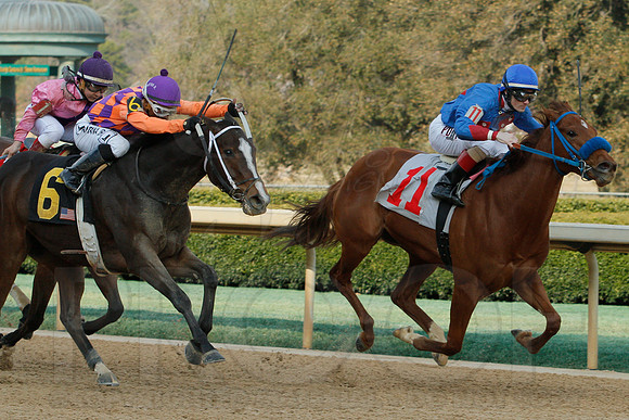 Honeybee Stakes (Grade III) 3-8-2014 (© Justin Manning) JWM_0292