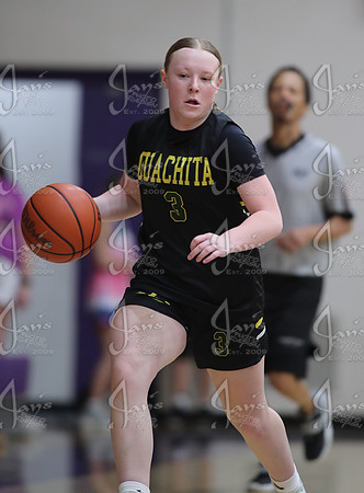 Evolution vs. Prolific Elite (AAU High School Girls Basketball) 4-26-25_JWM_0451