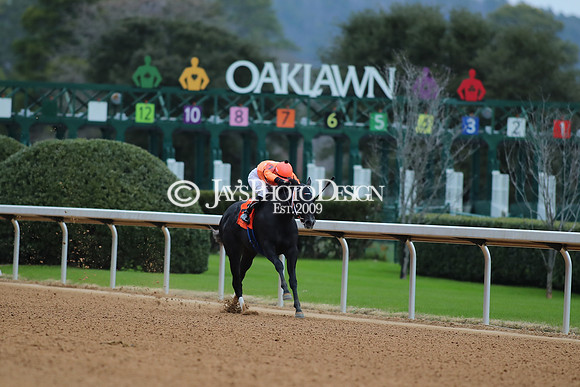 z250104_MockingbirdStakes _JWM_0586
