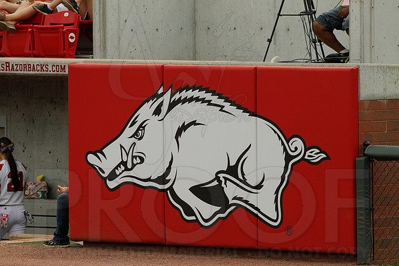 5A State Softball Finals Vilonia vs. White Hall 5-23-2014 (© Justin Manning) JWM_0330
