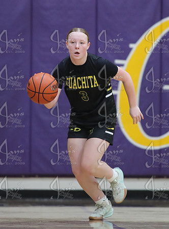 Evolution vs. Prolific Elite (AAU High School Girls Basketball) 4-26-25_JWM_0443