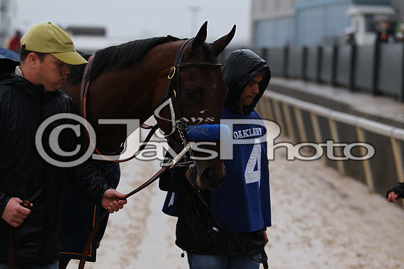 Oaklawn (Rebel Stakes Day) 3-14-2015 (©Justin Manning) JWM_139