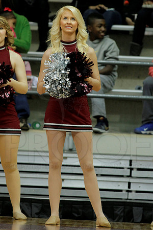 UALR vs. Troy Men's Basketball 1-11-14 (©Justin Manning) JWM_0414