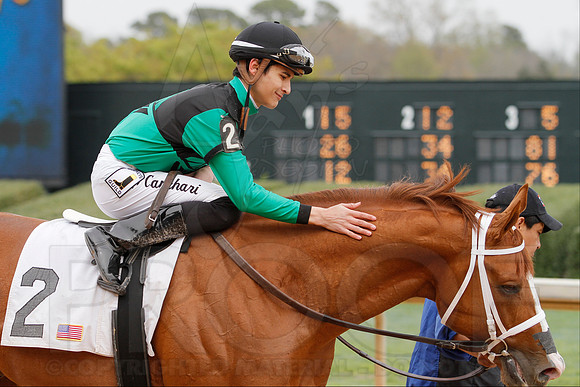 Fantasy Stakes 4-5-2014 (© Justin Manning) JWM_0247