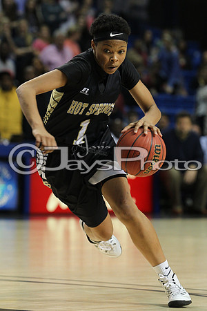Pulaski Academy vs. Hot Springs 5A Girls State Finals 3-14-2015 (©Justin Manning) JWM_668