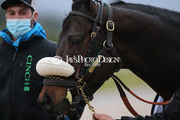 z210206_KingCottonStakesDay_Manning__0067