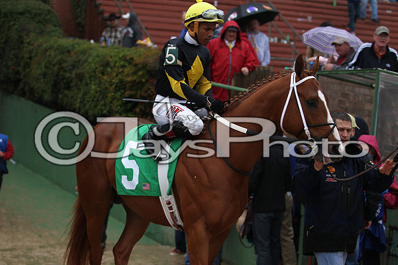 Oaklawn (Rebel Stakes Day) 3-14-2015 (©Justin Manning) JWM_196