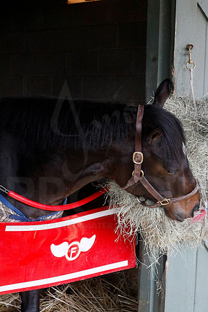 Oaklawn 1-13-13 (Justin Manning)0015