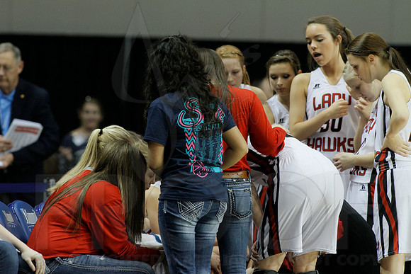 1A Girls State Finals-Nemo Vista vs. Wonderview 3-14-2014 (© Justin Manning) JWM_0116