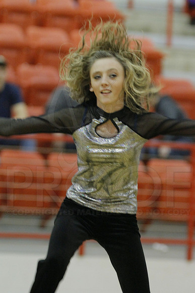 Fountain Lake @ Glen Rose 1-29-13 (Justin Manning)0156