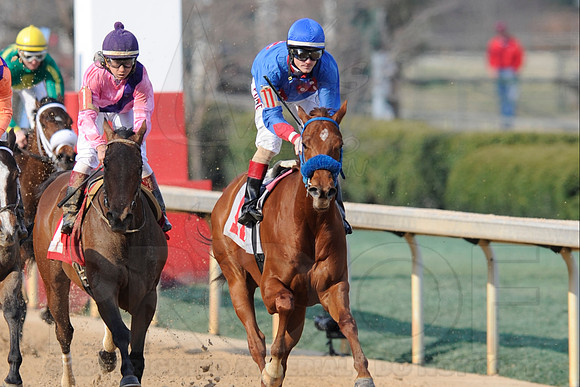 Honeybee Stakes (Grade III) 3-8-2014 (© Justin Manning) JWM_1413