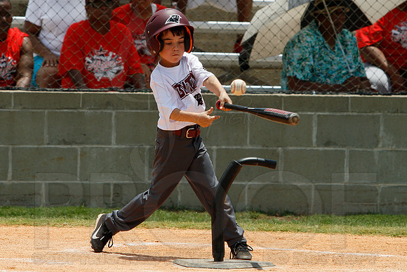 Benton Panther's vs. Pine Bluff Twins All Star's 6-22-2014 (© Justin Manning) JWM_0028