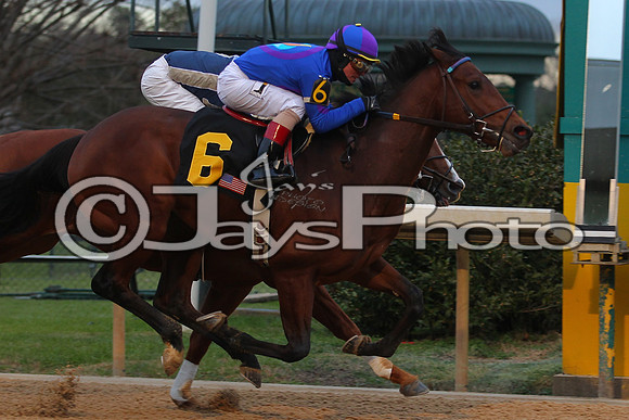 Oaklawn Smarty Jones Stakes 1-18-2016 (©Justin Manning) JWM_(0467
