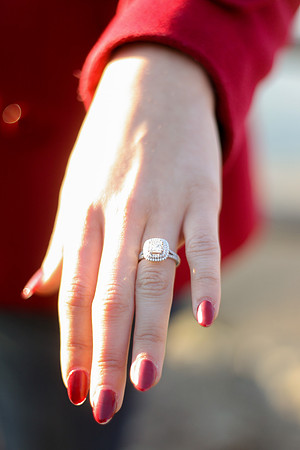 R.J. Hawk marrige proposal (Mt Magazine) 2-6-2016 JWM_0129
