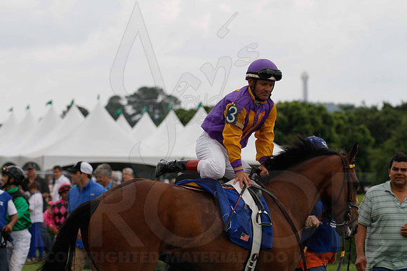 _MG_0282