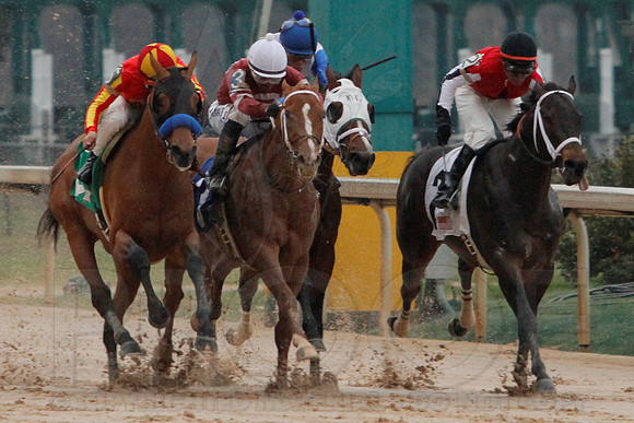 Rebel Stakes 3-15-14 3-15-2014 (© Justin Manning) JWM_0221