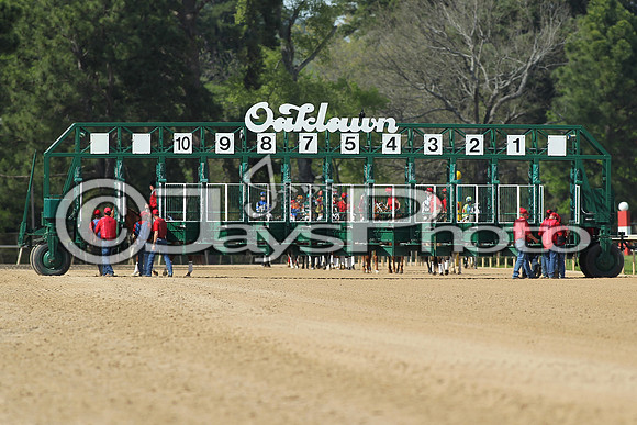 Arkansas Derby Day 4-11-2015 (©Justin Manning) JWM_0093