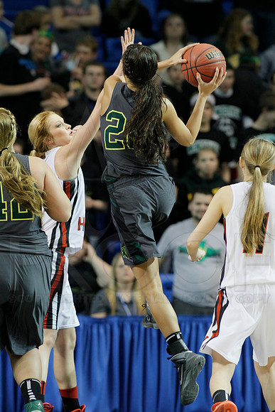 1A Girls State Finals-Nemo Vista vs. Wonderview 3-14-2014 (© Justin Manning) JWM_0206