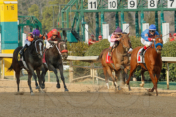 Honeybee Stakes (Grade III) 3-8-2014 (© Justin Manning) JWM_0284