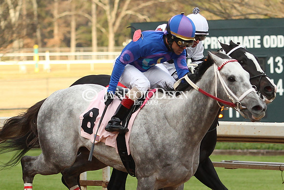 z190125_SmartyJonesStakesDay_Manning_0384