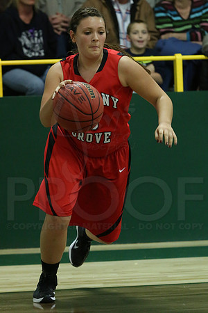 Harmony Grove @ Oauchita Sr Girls 11-13-2014 (©Justin Manning) JWM_0285