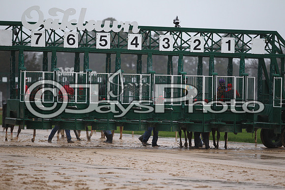 Oaklawn (Rebel Stakes Day) 3-14-2015 (©Justin Manning) JWM_305
