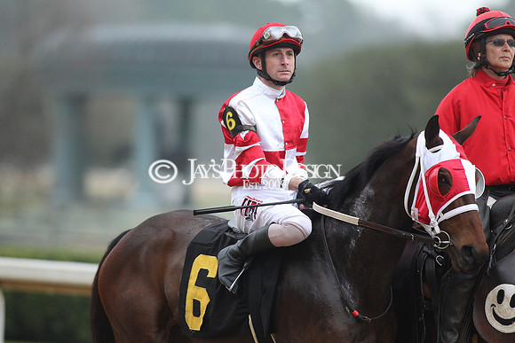 z200217_SouthwestStakesDay_Manning_0386