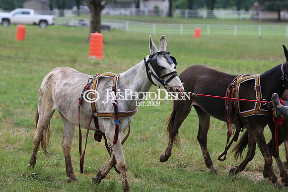 Whiskey Ridge Ranch (Chuckwagon Races) 5-25-24_JWM_0863