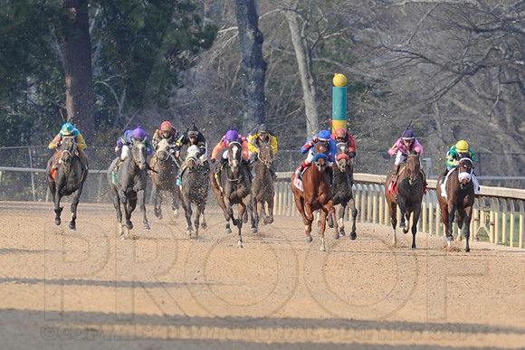 Honeybee Stakes (Grade III) 3-8-2014 (© Justin Manning) JWM_1385
