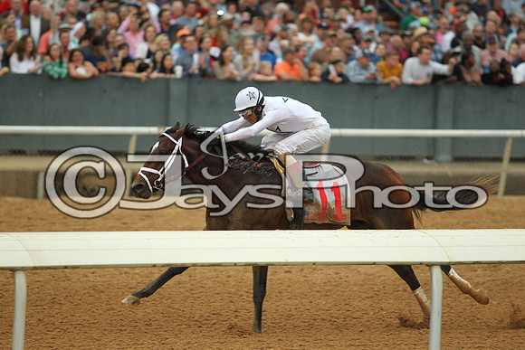 Southwest Stakes (GradeIII) 2-20-17_JWM00919