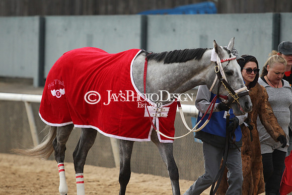 z190218_SouthwestStakesDay_Manning_838