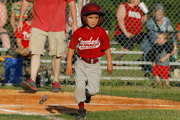Phillies vs. Razorbacks 5-6 year old baseball 6-3-2014 (© Justin Manning) JWM_0196