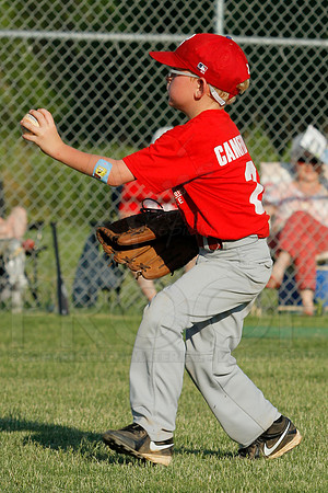 Phillies vs. Razorbacks 5-6 year old baseball 6-3-2014 (© Justin Manning) JWM_0143