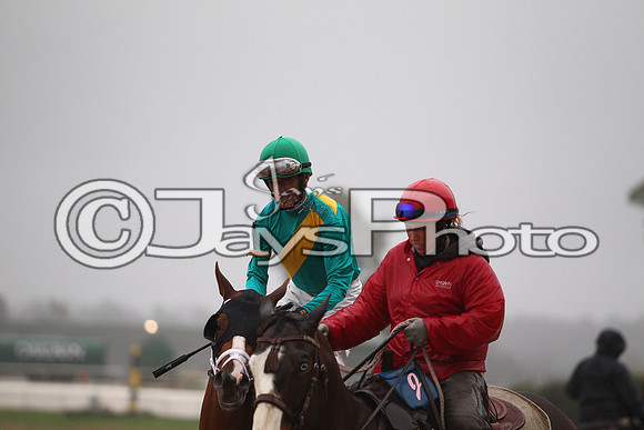 Oaklawn (Rebel Stakes Day) 3-14-2015 (©Justin Manning) JWM_274