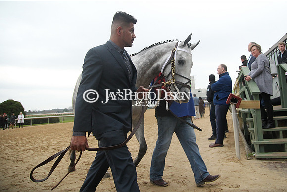z200217_SouthwestStakesDay_Manning_3732