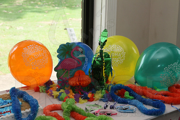 Jaxtin's 5th Birthday 8-3-13 (© Justin Manning) JWM0002