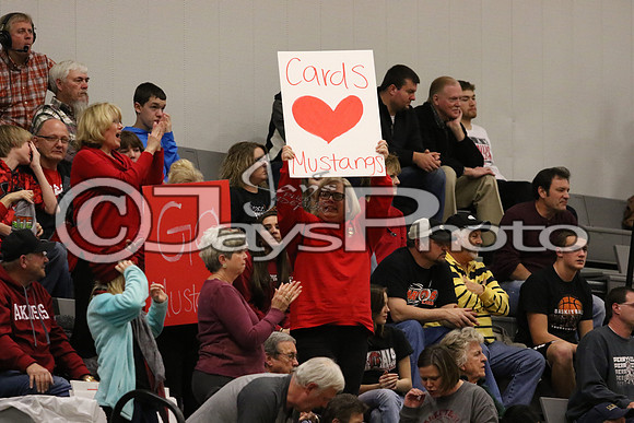 Lamar vs. Perryville Girls 3A State 3-6-2015 (©Justin Manning) JWM_083
