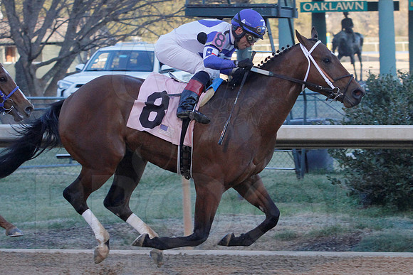 Smarty Jones Stakes 01-20-14 (©Justin Manning) JWM_0426