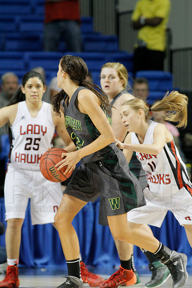 1A Girls State Finals-Nemo Vista vs. Wonderview 3-14-2014 (© Justin Manning) JWM_0105